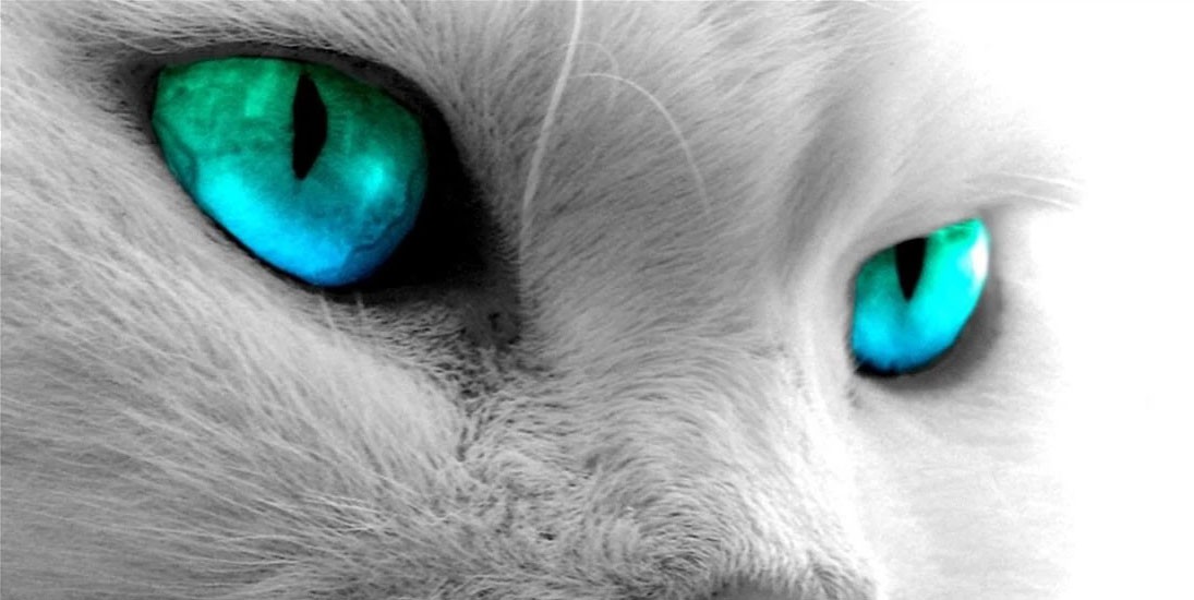 Nouveautés 2016 : 8 gels UV magnétiques pour adopter l’effet Cat Eyes